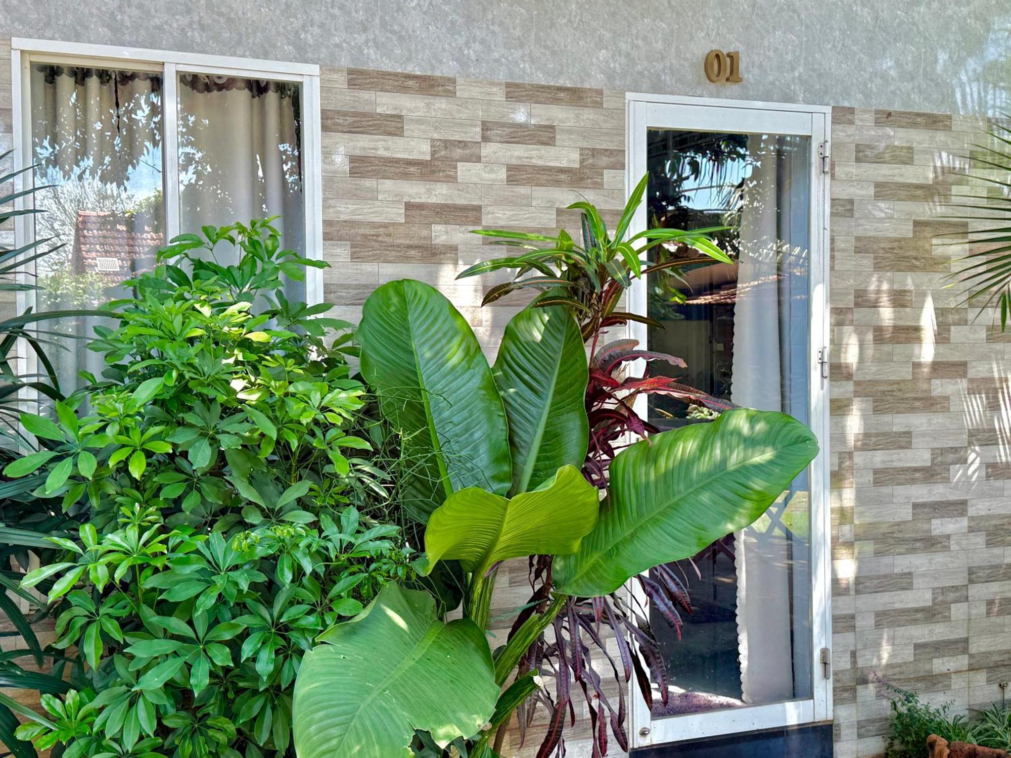 Ho Coc Homestay Exterior foto